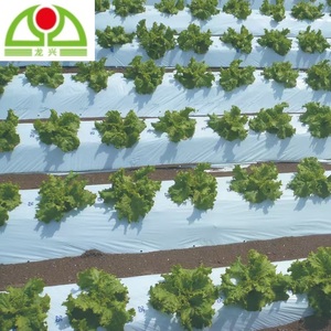 Film de <span class=keywords><strong>paillage</strong></span> agricole en plastique LDPE/LLDPE sur mesure de qualité supérieure pour l'agriculture et la culture de <span class=keywords><strong>tomates</strong></span> en Chine - Product Image 4