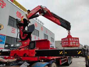سانى-Palfinger رافعة 18Ton 20Ton 25Ton 30Ton 35Ton الهيدروليكية ذراع المرفاع المفصلية المحورية للطي الذراع فقط رافعة للبيع - Product Image 4
