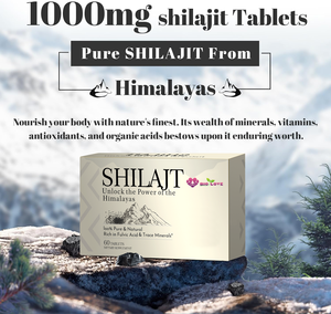 Tabletas de Shilajit del Himalaya, Suministro Directo de Fábrica, 60 Tabletas, Vitalidad, Inmunidad, Energía, Cuidado del Envejecimiento, Suplemento Dietético, Venta al por Mayor OEM - Product Image 3