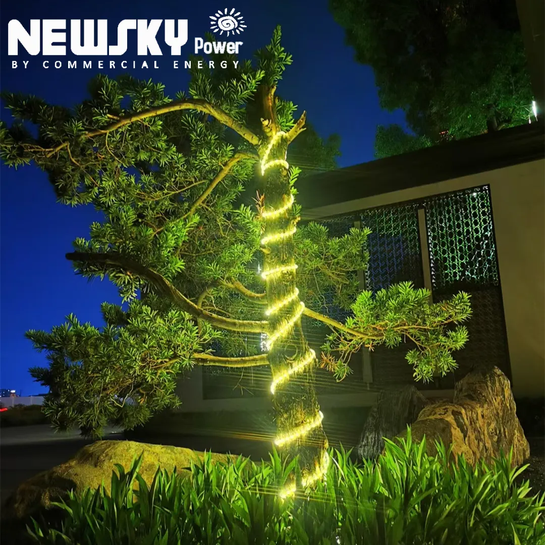 Factory Best Selling LED Lamp Waterproof Fairy String Light Warm White Outdoor Garden Solar Christmas Light