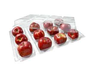 12 pcs Disposable transparent hinged Fruit clamshell Packaging Trays square cells PET Plastic clear Blister apple fruit Tray