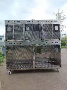 EURVET Attrezzatura Veterinaria Gabbia ICU per Cani e Gatti in Acciaio Inox 304 con Luce Calda, Porta per Ossigeno, Termostato e Spegnimento Automatico per Sovratemperatura - Product Image 2