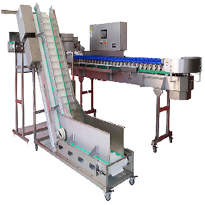 Machine de triage de homards vivants, fruits, légumes, durian, avocat, asperges blanches, triage par poids, capacité 300 <span class=keywords><strong>kg</strong></span>/h, modèle THRIVE THST-7 - Product Image 1