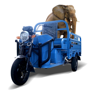 Véhicule utilitaire électrique robuste 1000W, camion à trois roues à grande vitesse, tricycle <span class=keywords><strong>de</strong></span> transport <span class=keywords><strong>de</strong></span> marchandises 1,7m 1,8m avec moteur 1000W et caisse <span class=keywords><strong>de</strong></span> chargement - Product Image 6