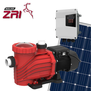 ZRI 1/2/3 INCH 2 HP 풀 펌프 원심 펌프 태양열 잠수정 물 펌프 태양열 발전기 패널 - Product Image 1