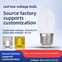 Ampoule LED DC 5V/37V Alimentée par USB Culot E27 Type Bougie C35 en Plastique pour Jardin 3000 Heures 3000K/6500K