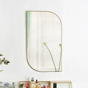 真鍮の長い美的壁曲線不規則な形の鏡