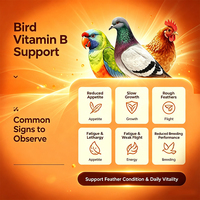 Gouttes vitaminées pour la performance des pigeons de course, Supplément de conditionnement pour coqs de combat, Soutien à la santé des volailles et des perroquets, Bouteille ambrée OEM