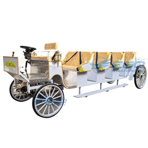 Vente en gros de calèches de mariage personnalisées, calèches de tourisme, calèches électriques à vendre - Product Image 5