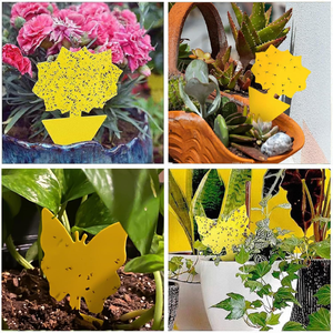 Pièges à mouches des fruits personnalisés avec des plaques adhésives puissantes pour capturer les ravageurs - Product Image 5