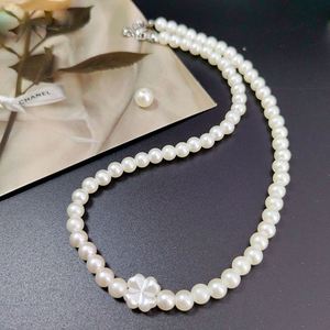 Accessoires de mariée, embellissements en dentelle, ensemble de perles DIY à 10 compartiments - Product Image 6