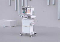 Appareil professionnel Aqua Facial à jet d'oxygène, microdermabrasion et peeling à jet, en acier inoxydable, pour le nettoyage de la peau