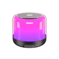 Mini haut-parleur Bluetooth en gros avec lumière LED RGB, Bluetooth 5.3, étanche, son surround 360°, haut-parleur sans fil portable