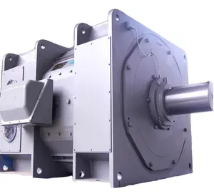 50kw 100kw 150kw 200kw 500kw 750kw 1000kw 1250kw 1500kw 2000kw 2500kw 300kw DC Motor slip ring motores trifásicos de indução ac