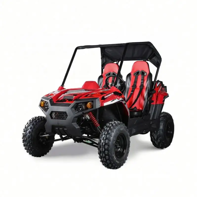 TBM 2 koltuk sportif şasi 200 175 150 cc UTV yan yana SSV ATV QUAD buggy