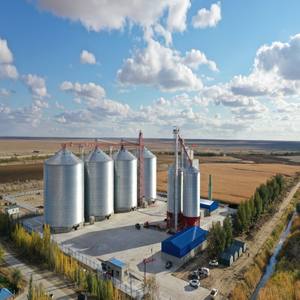 Высококачественные готовые зернохранилища под ключ под заказ для хранения зерна 50 т-16000 т в продаже - Product Image 2