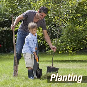 Pala de jardinería para exteriores con mango en D, pala pequeña de acero integrada para agricultura <span class=keywords><strong>y</strong></span> excavación de hoyos - Product Image 4