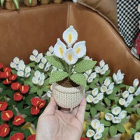 CLTF 2026 Mini plante en pot au crochet de haute qualité, faite à la main, calla, plante araignée, coleus, monstera, toujours verte, décoration de bureau