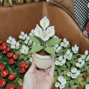 CLTF 2026 Mini Planta en Maceta de Ganchillo de Alta Calidad, Hecha a Mano, Lirio de los Valles, Planta Araña, Coleus, Monstera, Decoración de Escritorio Siempre Verde - Product Image 4