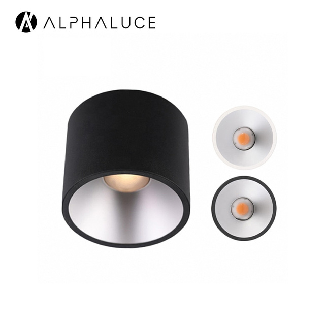 High Lumen LED Modern White Ceiling Mounted Surface Light Residential & Hotel Use IP20 Indoor Lighting Fixtures