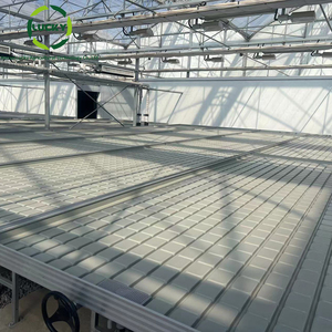 Banc roulant de <span class=keywords><strong>haute</strong></span> qualité et culture de plantes flux de reflux Abs plastique Premium supports de culture serre de lit de graine banc roulant <span class=keywords><strong>Table</strong></span> - Product Image 6