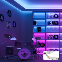 Bande lumineuse LED programmable, bande lumineuse LED automatique, bande lumineuse LED RVB 12V, bandes lumineuses LED adressables RVB