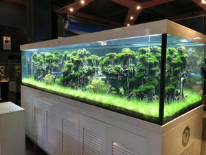 Tanque de acuario de tortuga abierto de cristal ultra transparente grande, personalizado, precio con gabinete de <span class=keywords><strong>filtro</strong></span>, venta al por mayor - Product Image 4