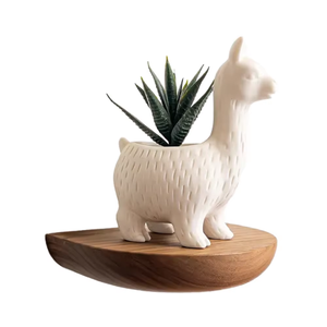 Mini colgadores de pared de madera curvada de Color nogal moderno, conjunto de estantes flotantes, sala de estar, galería, decoración del hogar, colgador de pared - Product Image 1