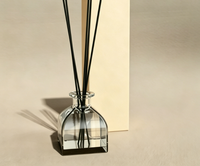 Diffuseur de parfum en verre borosilicate haut de gamme, design professionnel, logo personnalisé, décoration d'intérieur, vente chaude