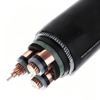 Câble d'alimentation basse tension blindé Cu/XLPE/SWA/PVC 0,6/1 kV IEC 60502-1 pour centrales électriques, mines et construction