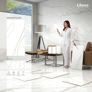 กระเบื้องพอร์ซเลนลายหินอ่อนสีเงินรอยัล ขนาด 24x48 นิ้ว คอลเลคชั่นเคลือบเงาพรีเมียม สำหรับโรงแรมและตกแต่งภายในสุดหรู - Product Image 5