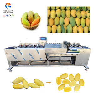 Fengxiang Brand Multi-heads Mangoes Pitting Machine Mango Corer Machine for Mango Process Plant - Product Image 1