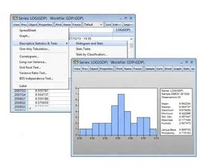 Envoyer un lien de téléchargement du logiciel de traitement des données de séries temporelles pour EViews 13 pour Windows, destiné aux grandes organisations. - Product Image 6
