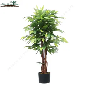 Barato decoración árboles chino Banyan Ficus de árbol