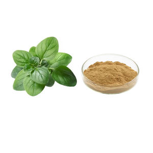 Extrait naturel de <span class=keywords><strong>Tulsi</strong></span> Ocimum Sanctum P.E Extrait d'Ocimum Sanctum 10:1 - Product Image 1