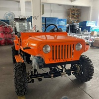 Vente en gros de mini-jeeps à essence 250cc, 350cc, 200cc, 300cc, 4x4, 4WD, mini-jeeps électriques pour adultes, buggy de plage, mini-jeeps tout-terrain