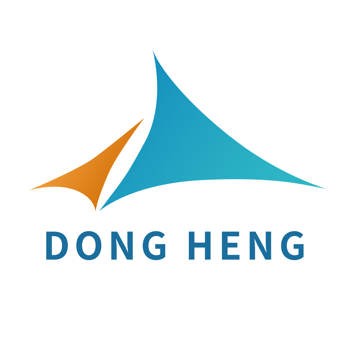 Weifang Dongheng New Material Co., Ltd. logo