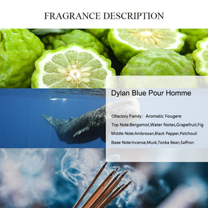 น้ำมันหอมระเหย <span class=keywords><strong>Dylan</strong></span> น้ำมันน้ำหอมเท Homme กลิ่นธรรมชาติน้ำหอม Ambroxan สำหรับน้ำหอมรสและผลิตภัณฑ์น้ำหอม - Product Image 2