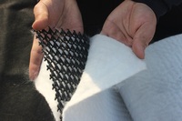 Construction de routes HDPE 3D Composite Drainage Geonet Filet de drainage composite tridimensionnel