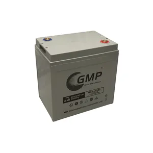 पाल्मा जीएमपी गोल्फ लीड एसिड इलेक्ट्रिक कार की बैटरी 6V 200AH जेल टूर वाहन बैटरी