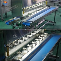 Automatische industriële fruit- en groenteschilmachine met 8-16 koppen, voedselveilige transportband, capaciteit 1000-3000 kg/uur, CE-gecertificeerd