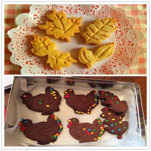20 Năm Giá Rẻ Thổ Nhĩ Kỳ Sóc Ngô Maple Leaf Acorn Bí Ngô Biscuit Khuôn Mùa Thu <span class=keywords><strong>Cookie</strong></span> Cutter Cho Tự Làm Nướng Bánh Fondant Pastry - Product Image 6