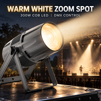 Projecteurs LED COB DMX Zoom 300W Blanc Chaud en Aluminium Étanche IP65 pour Spectacles de Scène en Parc à Thème Extérieur