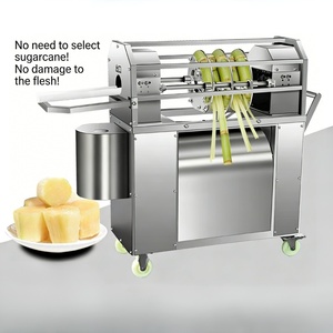 Petite machine à peler la canne à sucre automatique électrique, machine à peler commerciale pour les commerces de <span class=keywords><strong>rue</strong></span> - Product Image 1