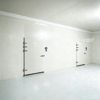 Almacén Frigorífico Personalizado, Temperatura de Refrigeración y Congelación a Medida, Puerta Corredera Abatible Personalizada, Dimensiones Personalizadas, Bajo Consumo de Energía