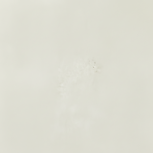 Panel de pared, antihumedad, ecológico, residencial, panel decorativo - Product Image 1