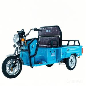 Bicicleta de carga eléctrica de tres ruedas de calidad de exportación con certificación CE Triciclos de carga eléctrica - Product Image 1