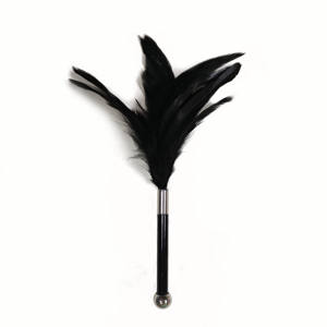 Flirten Feder Tickler mit Metall Zauberstab Feder Ernte für Erwachsene Sex Verspielte Gadget für Männer und Frauen - Product Image 1