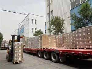 La más nueva impresora Dtf de 24 pulgadas, impresora DTF de 60cm, 2 * I3200, máquina de impresión Dtf, máquina de impresión automática de ropa con agitador - Product Image 4