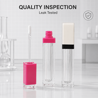 Emballage cosmétique en plastique transparent carré personnalisé, tube à gloss à lèvres vide avec applicateur, conteneur à gloss à lèvres OEM